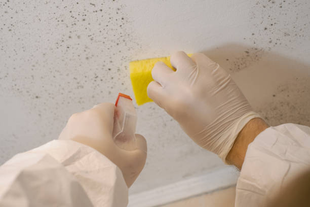 Best Post-Remediation Verification Testing  in Gibbstown, NJ