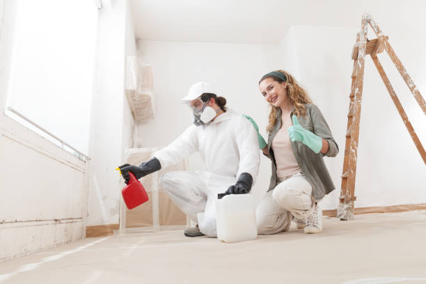 Best Biohazard Mold Removal  in Gibbstown, NJ